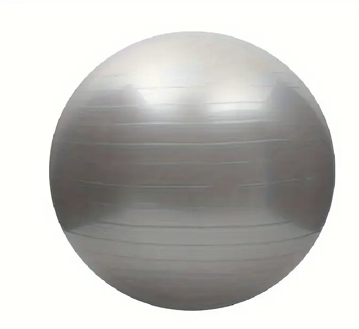 GYM BALL (65CM)