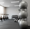 GYM BALL (65CM)