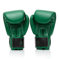 Fairtex Resurrection Boxing Gloves